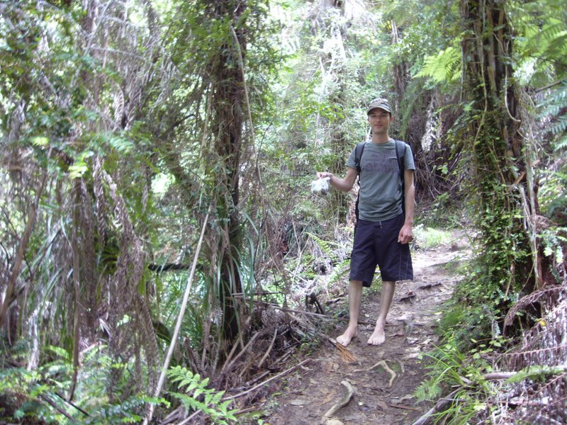 Travel - New Zealand - Abel Tasman National Park